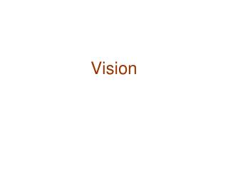 Vision