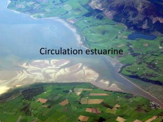 Circulation estuarine