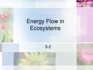 Energy Flow in Ecosystems