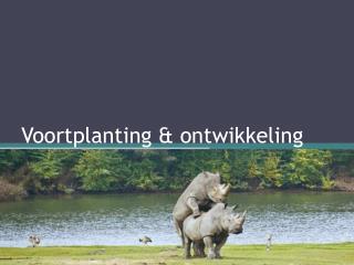 Voortplanting &amp; ontwikkeling