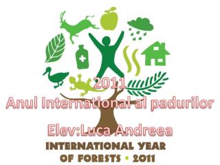 2011 Anul International al padurilor