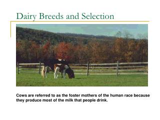 Dairy Breeds and Selection