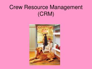 Crew Resource Management (CRM)