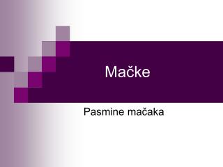 Mačke