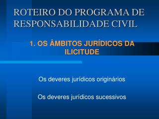 ROTEIRO DO PROGRAMA DE RESPONSABILIDADE CIVIL