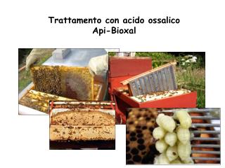 Trattamento con acido ossalico Api-Bioxal