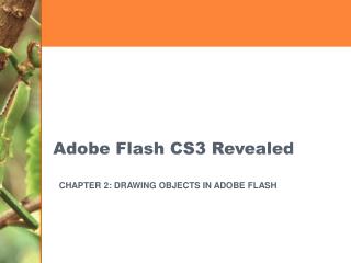 Adobe Flash CS3 Revealed