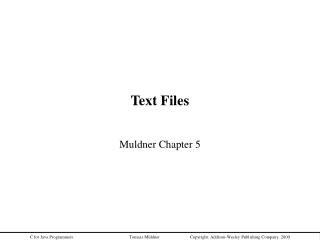 Text Files