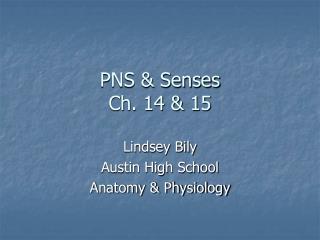 PNS &amp; Senses Ch. 14 &amp; 15