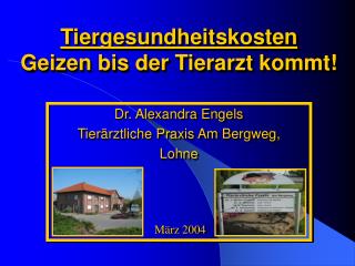 Tiergesundheitskosten Geizen bis der Tierarzt kommt!