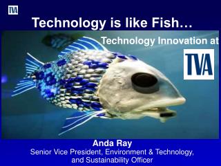 Technology is like Fish… Technology Innovation at