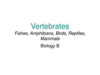 Vertebrates Fishes, Amphibians, Birds, Reptiles, Mammals