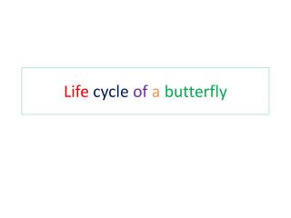 Life cycle of a butterfly