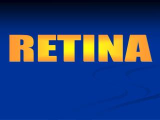 RETINA