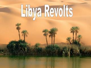 Libya Revolts