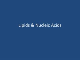 Lipids &amp; Nucleic Acids