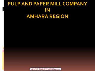 PULP AND PAPER MILL COMPANY IN AMHARA REGION