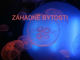 ZÁHADNÉ BYTOSTI