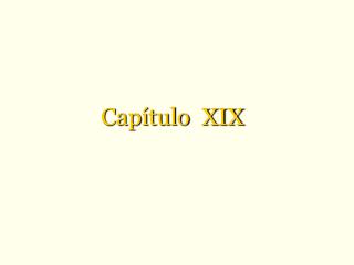 Capítulo XIX