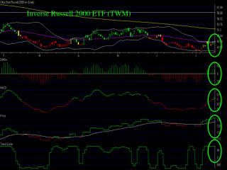Inverse Russell 2000 ETF (TWM)