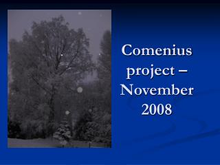 Comenius project – November 2008