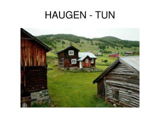 HAUGEN - TUN