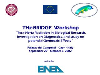 THz-BRIDGE Workshop