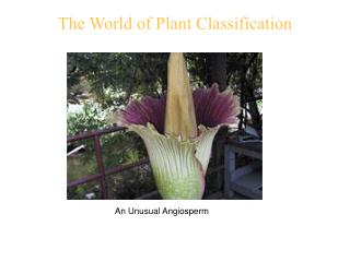 The World of Plant Classification