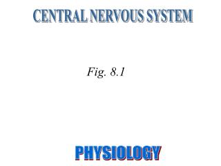 CENTRAL NERVOUS SYSTEM