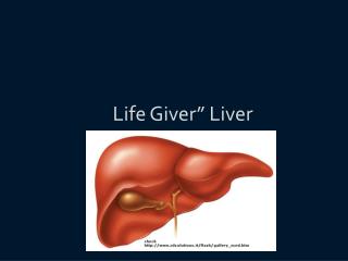 Life Giver” Liver
