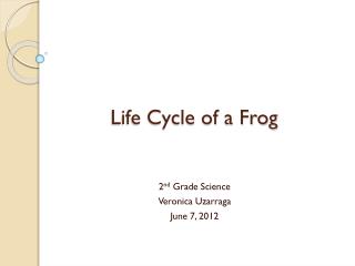 Life Cycle of a Frog