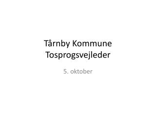 Tårnby Kommune Tosprogsvejleder