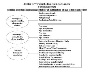 Strategiske,- organisatoriske,- økonomiske- effekter