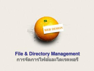 File &amp; Directory Management การจัดการไฟล์และ ไดเรคทอ รี
