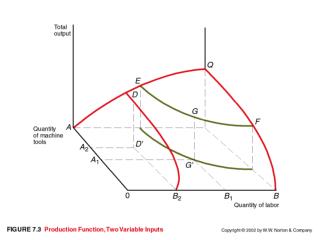 Production Function Multiple Variable Input