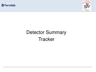 Detector Summary Tracker