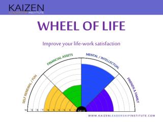 WHEEL OF LIFE Improve your life-work satisfaction