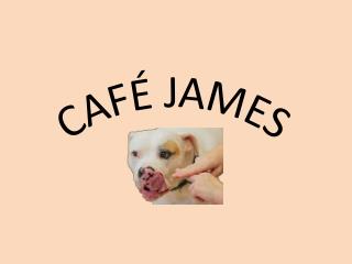 CAFÉ JAMES