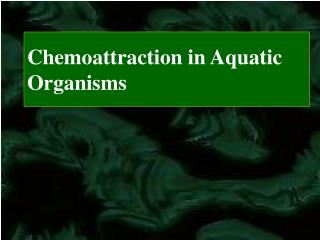 Chemoattraction in Aquatic Organisms