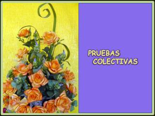 PRUEBAS   COLECTIVAS