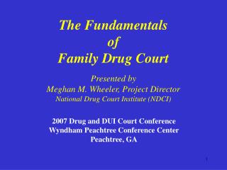 The Fundamentals of Family Drug Court