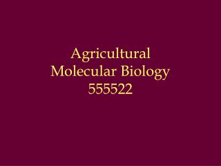 Agricultural Molecular Biology 555522