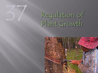 Regulation of Plant Growth