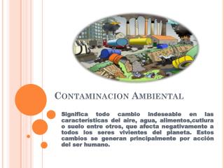 Contaminacion Ambiental