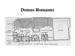 Domus Romanus