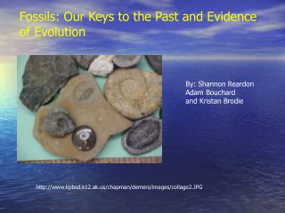 Fossils: Our Keys to the Past and Evidence of Evolution