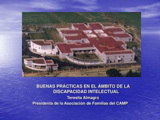 BUENAS PRÁCTICAS EN EL ÁMBITO DE LA DISCAPACIDAD INTELECTUAL Teresita Almagro