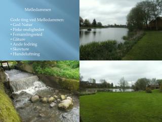 Mølledammen