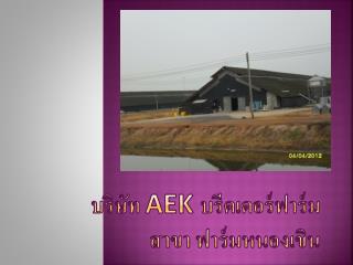 บริษัท AEK บรีดเดอร์ ฟาร์ม สาขา ฟาร์มหนองเขิน