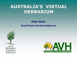 AUSTRALIA’S VIRTUAL HERBARIUM